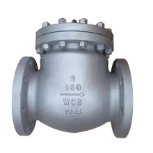 waste water carbon steel air check valve